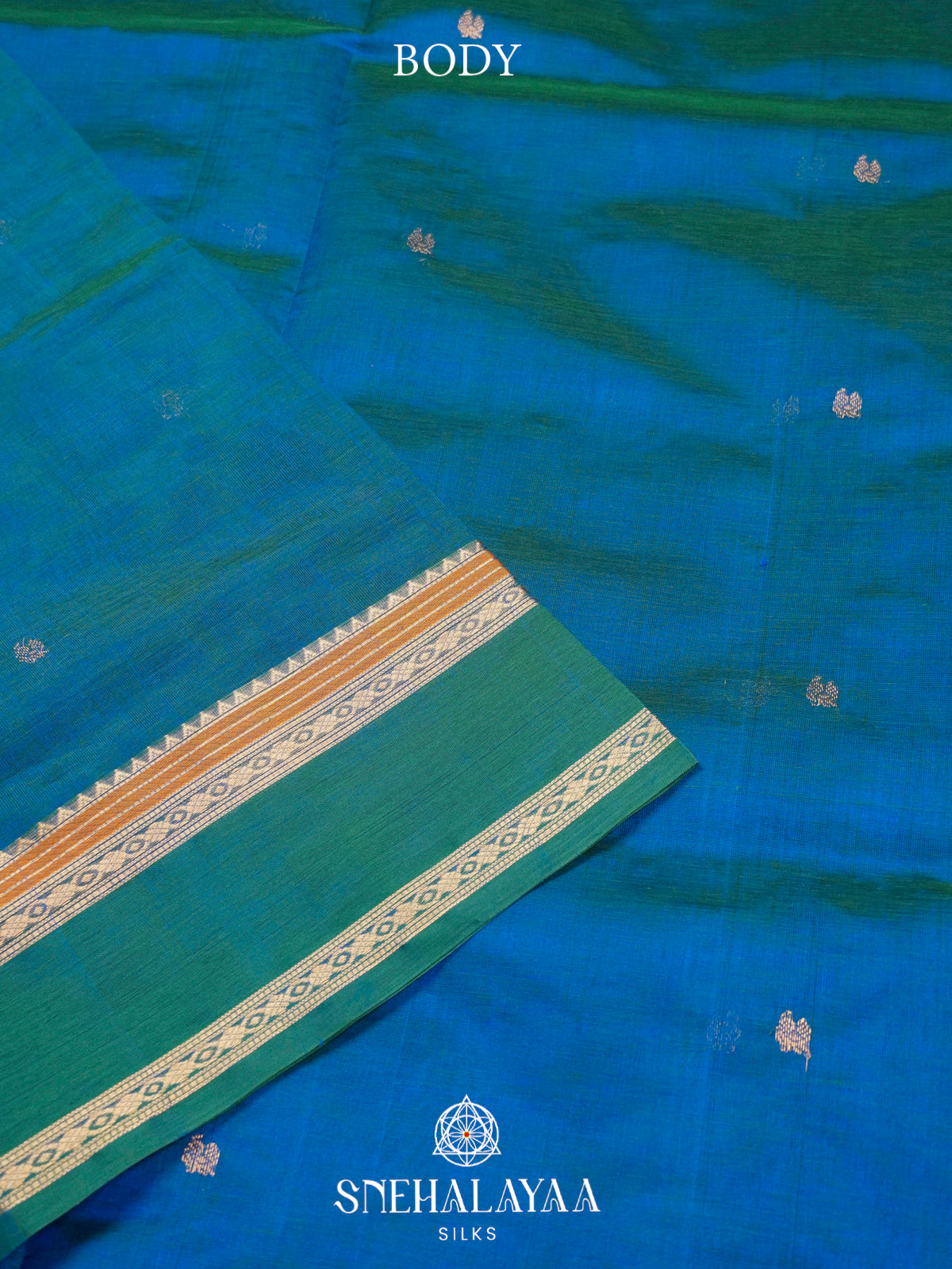 Teal Blue Kanchi Silk Cotton Saree with Large Paisley Motif and Sea Green Contrast Border