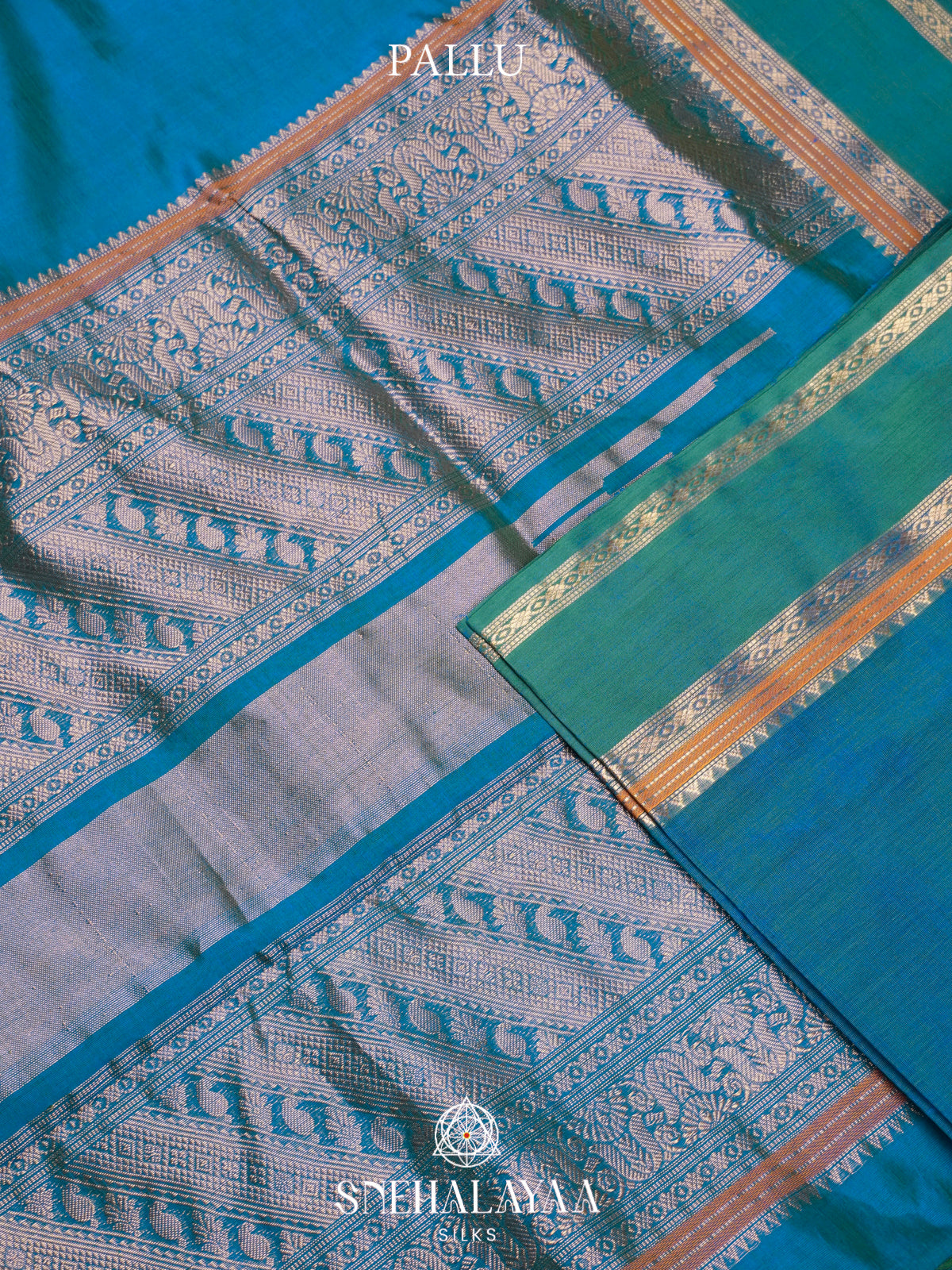 Teal Blue Kanchi Silk Cotton Saree with Large Paisley Motif and Sea Green Contrast Border