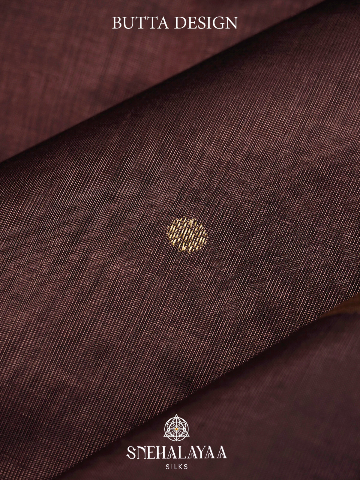 Coffee Brown Kanchi Silk Cotton Saree with Contrast Dark Brown Border & Annapakshi Motifs