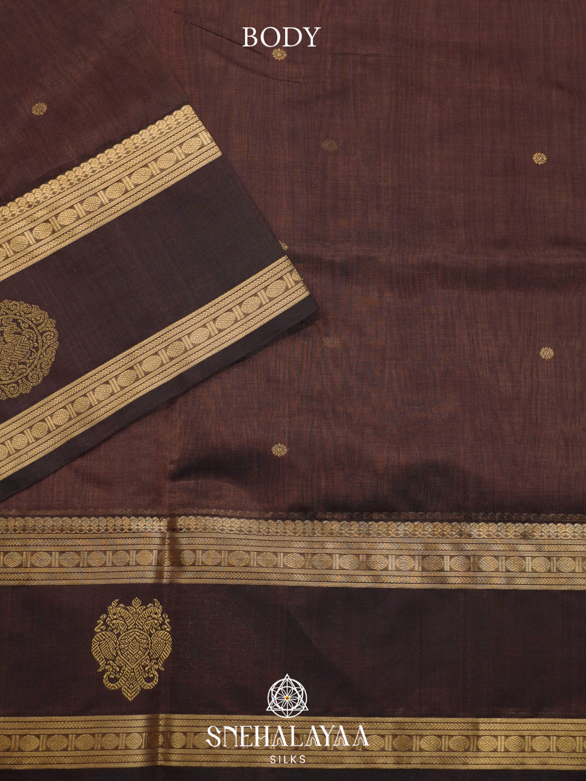 Coffee Brown Kanchi Silk Cotton Saree with Contrast Dark Brown Border & Annapakshi Motifs