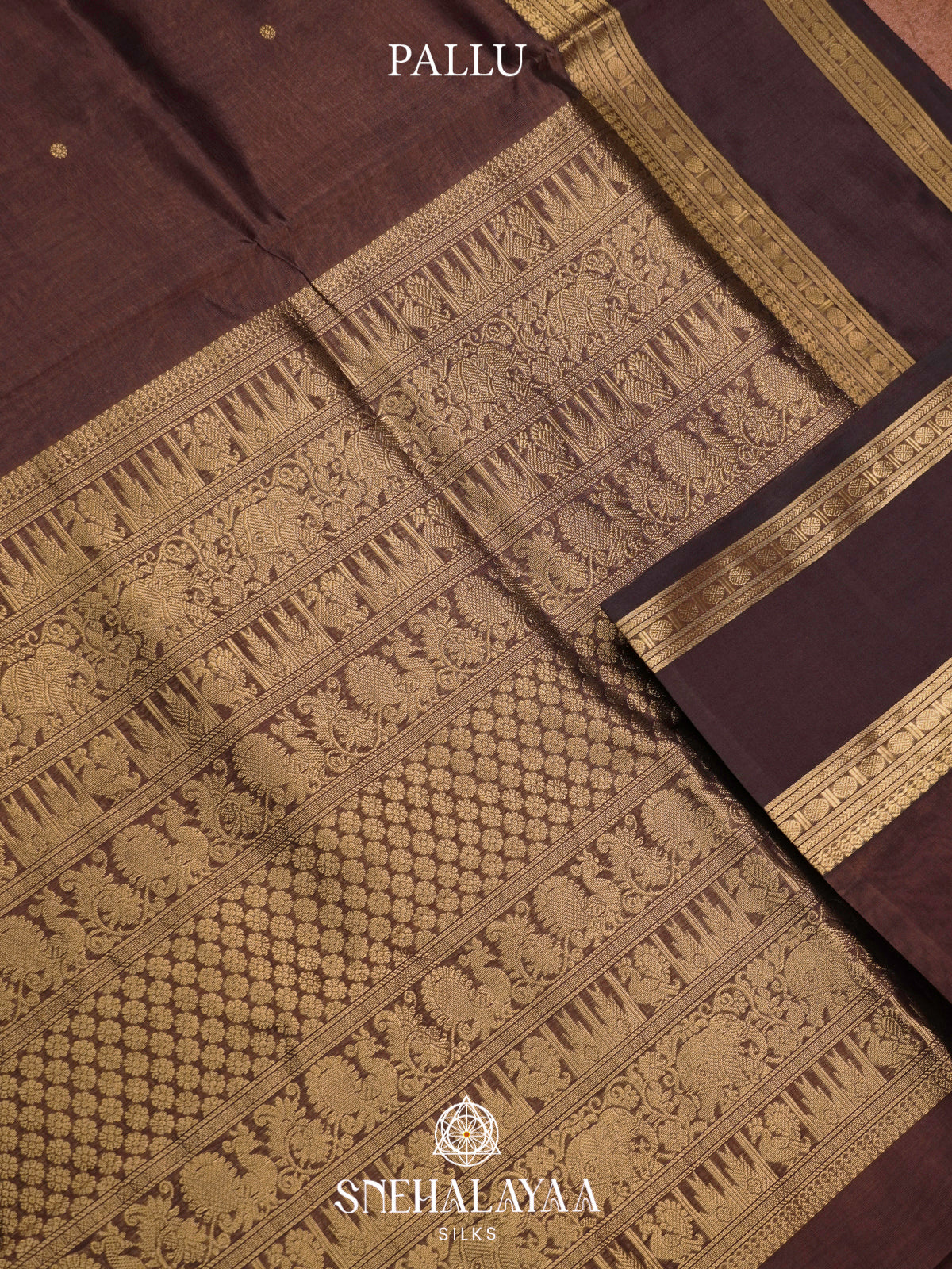 Coffee Brown Kanchi Silk Cotton Saree with Contrast Dark Brown Border & Annapakshi Motifs