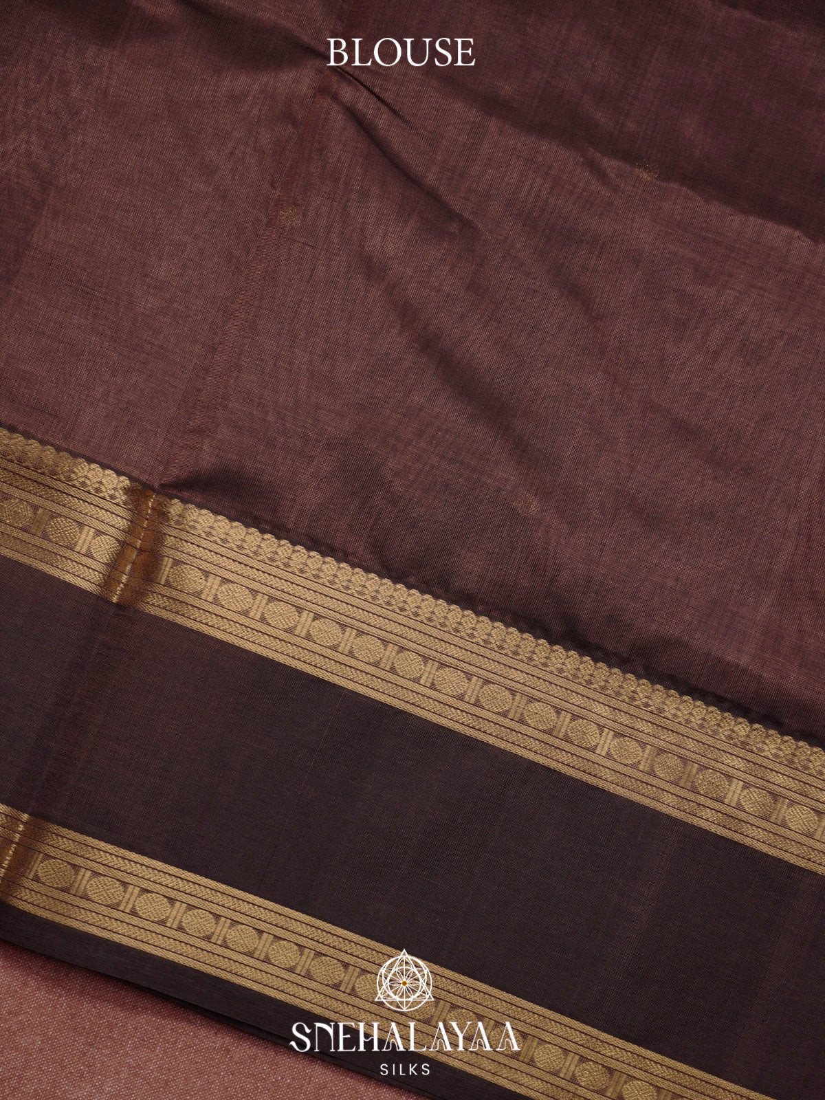 Coffee Brown Kanchi Silk Cotton Saree with Contrast Dark Brown Border & Annapakshi Motifs