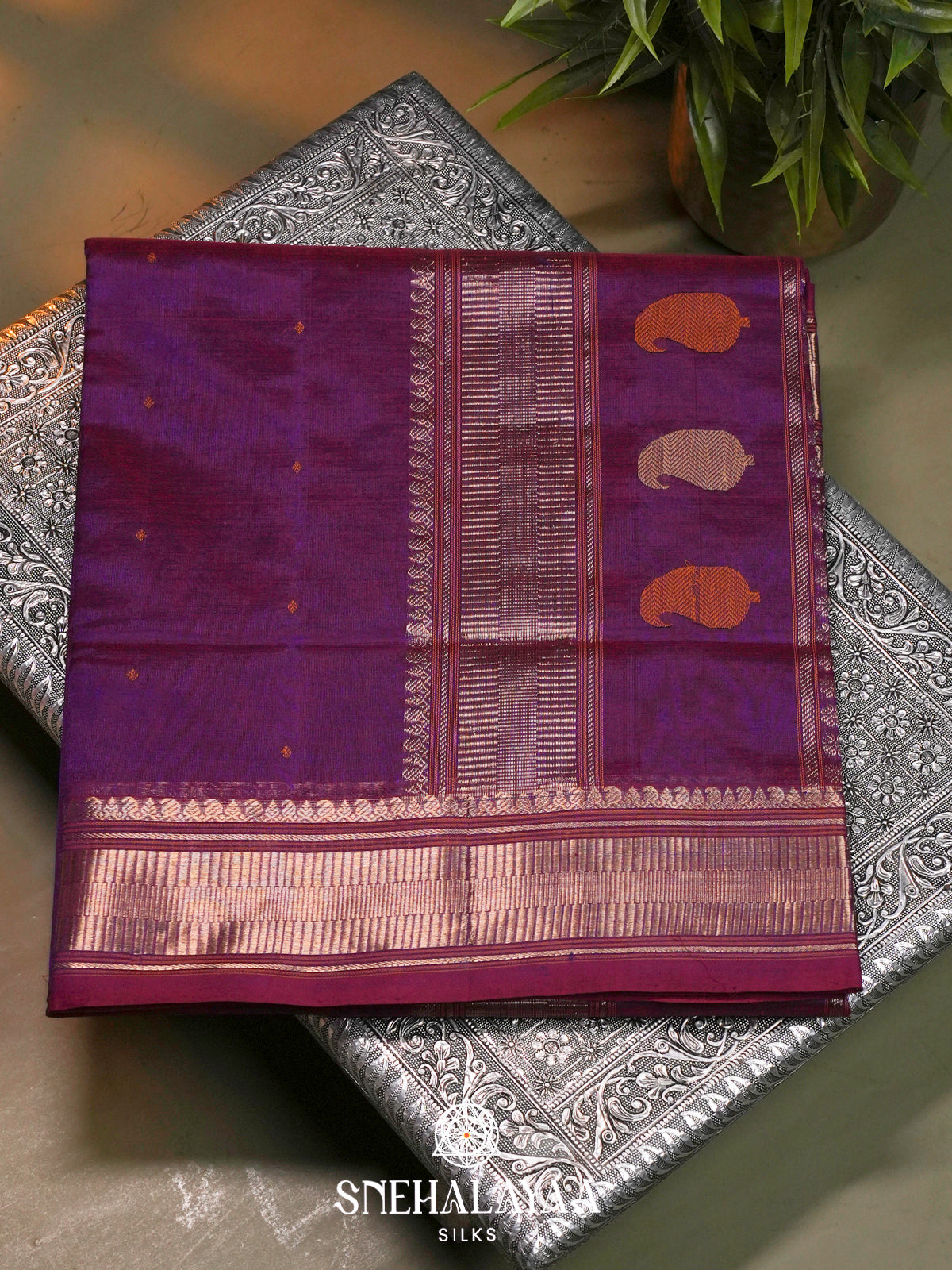 Purple Kanchi Silk Cotton Saree with Contrast Magenta Border & Mango Motifs