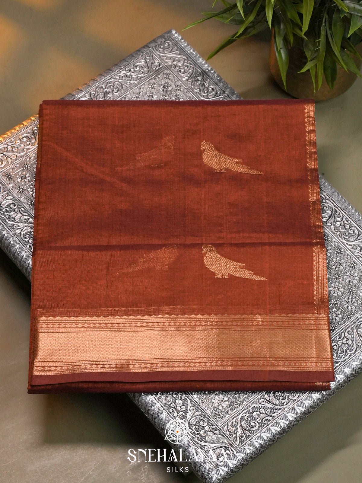 Burnt Orange Kanchi Silk Cotton Saree with Traditional Parrot Pallu
