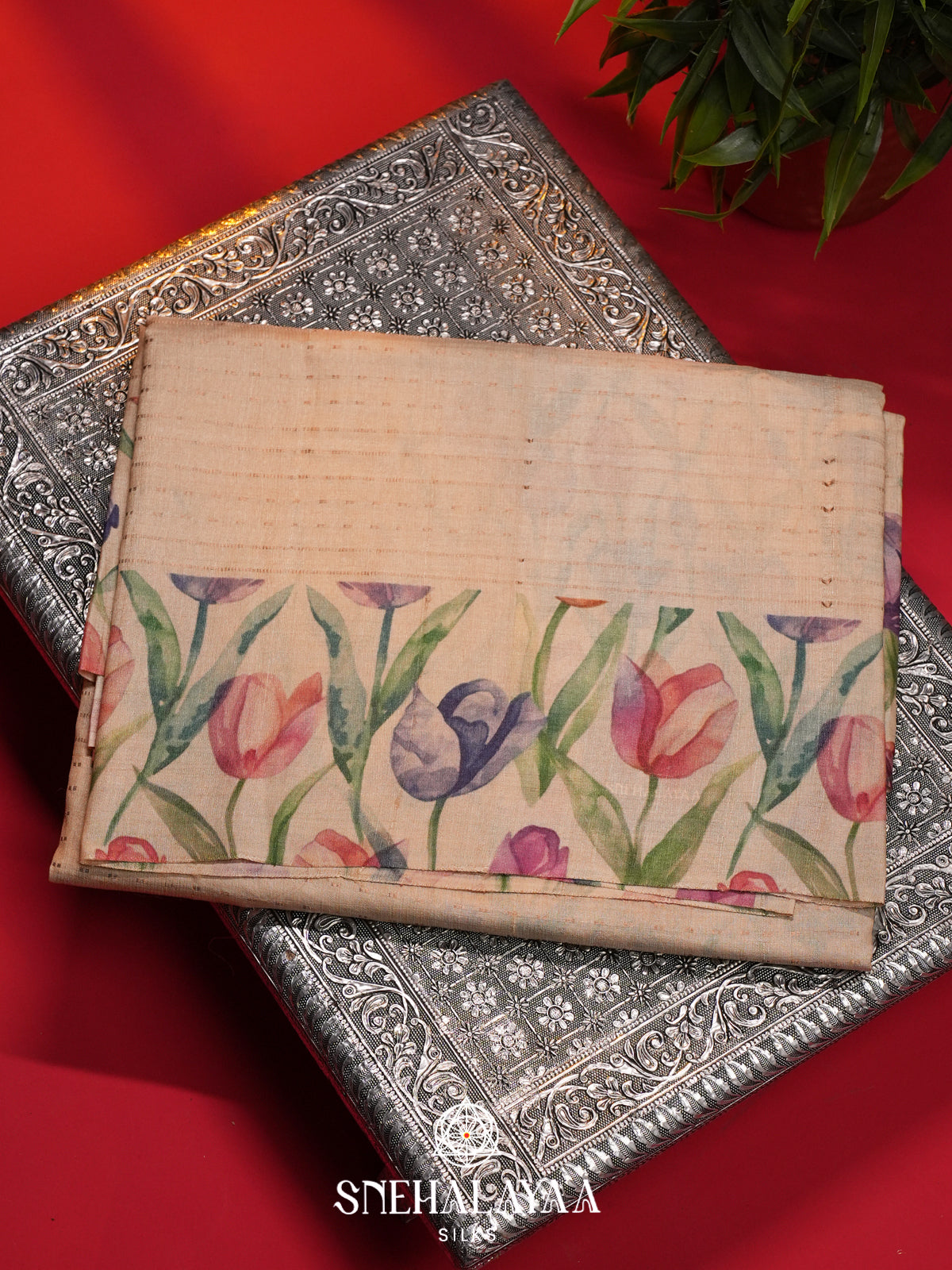 Beige Tussar Saree