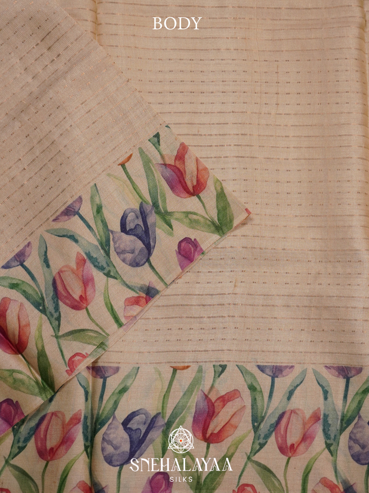 Beige Tussar Saree