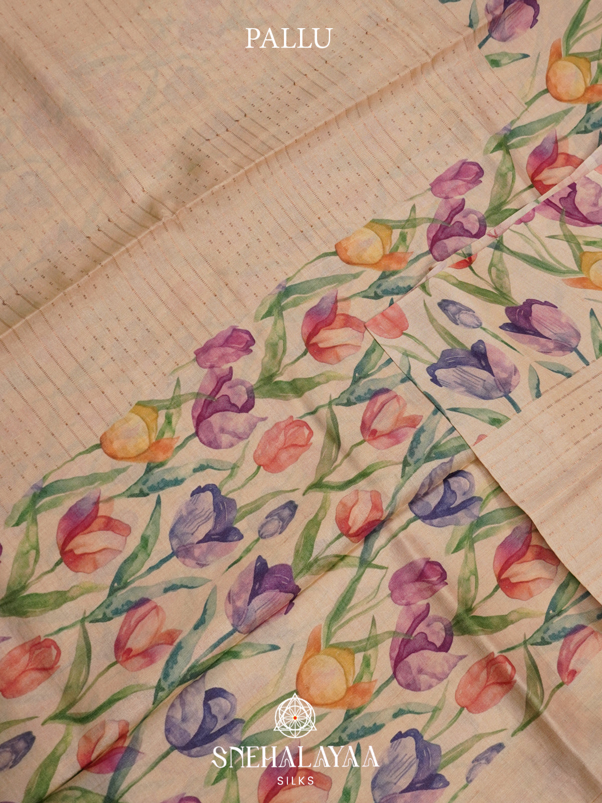 Beige Tussar Saree
