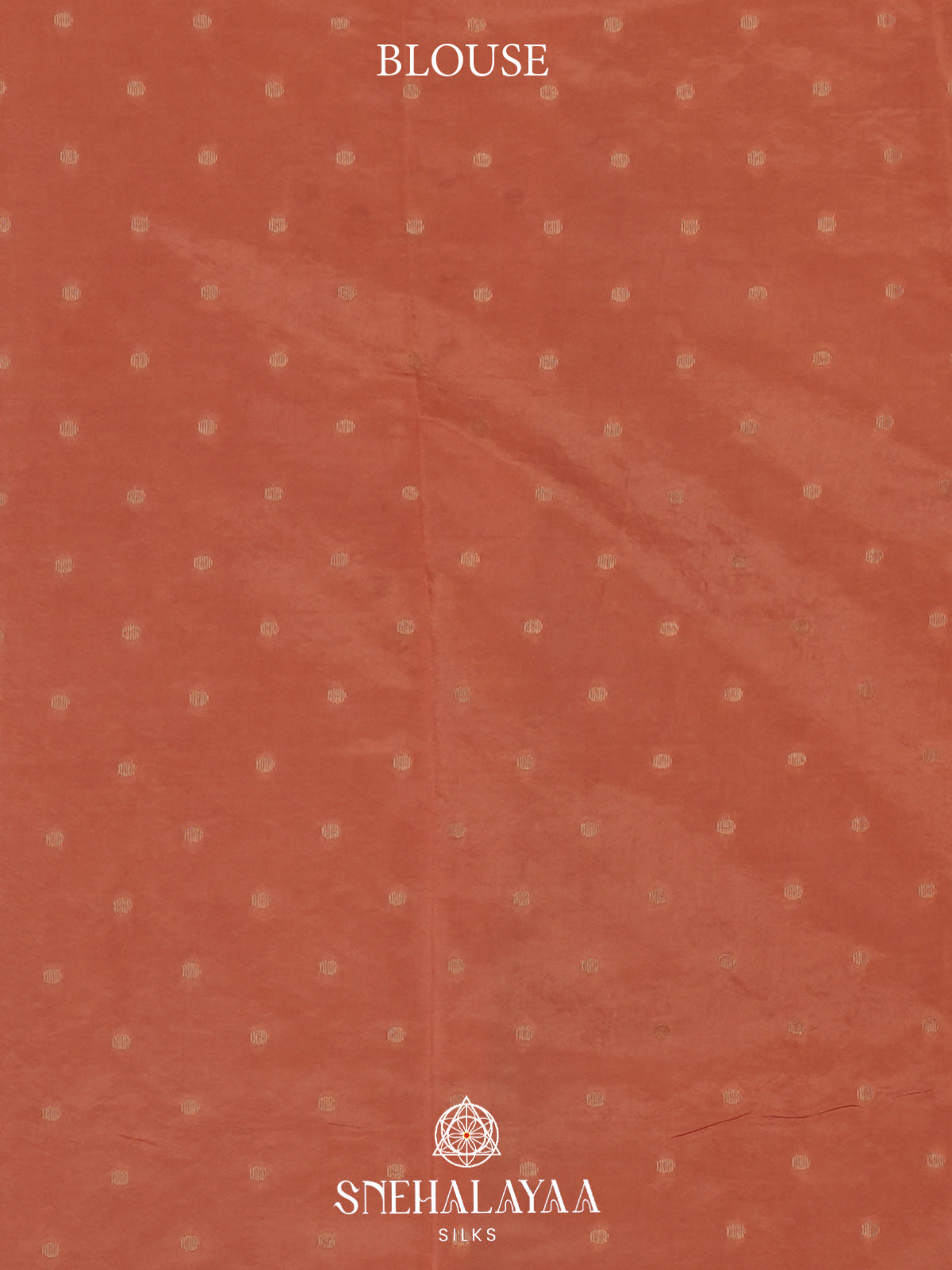 Orange Raw Silk Saree