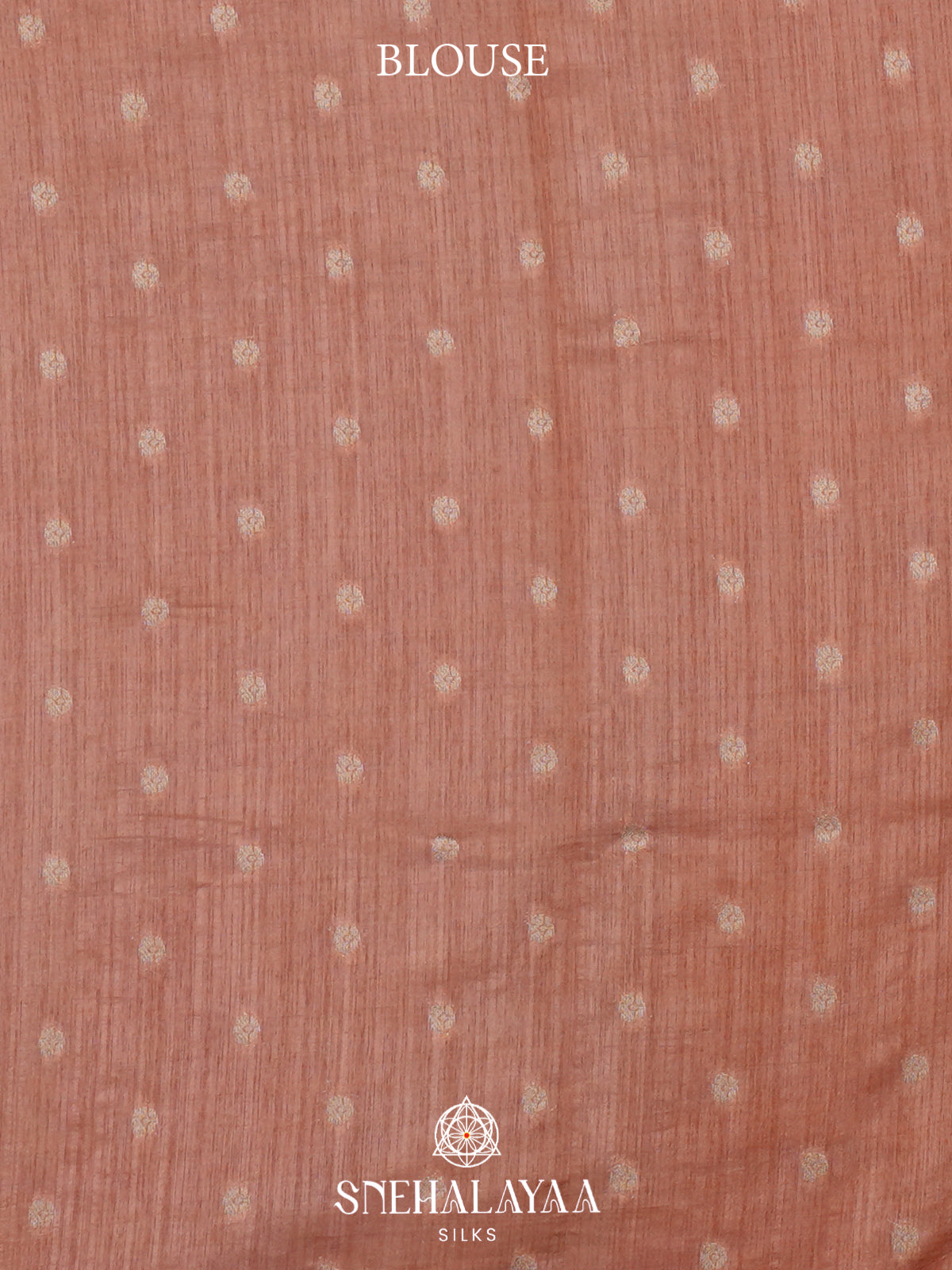 Orange Raw Silk Saree