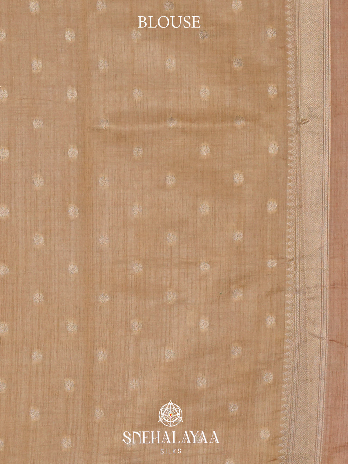 Coral Red Raw Silk Saree