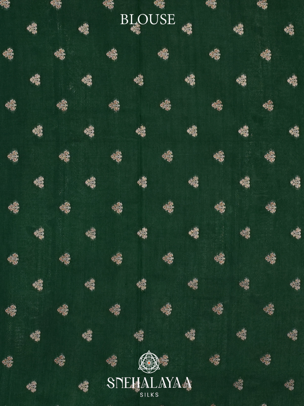 Pale Green Raw Silk Saree