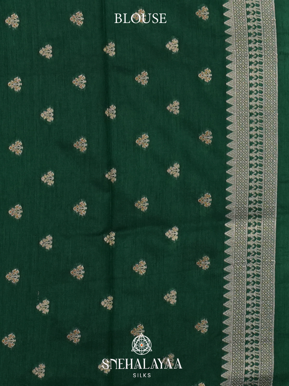 Pale Green Raw Silk Saree