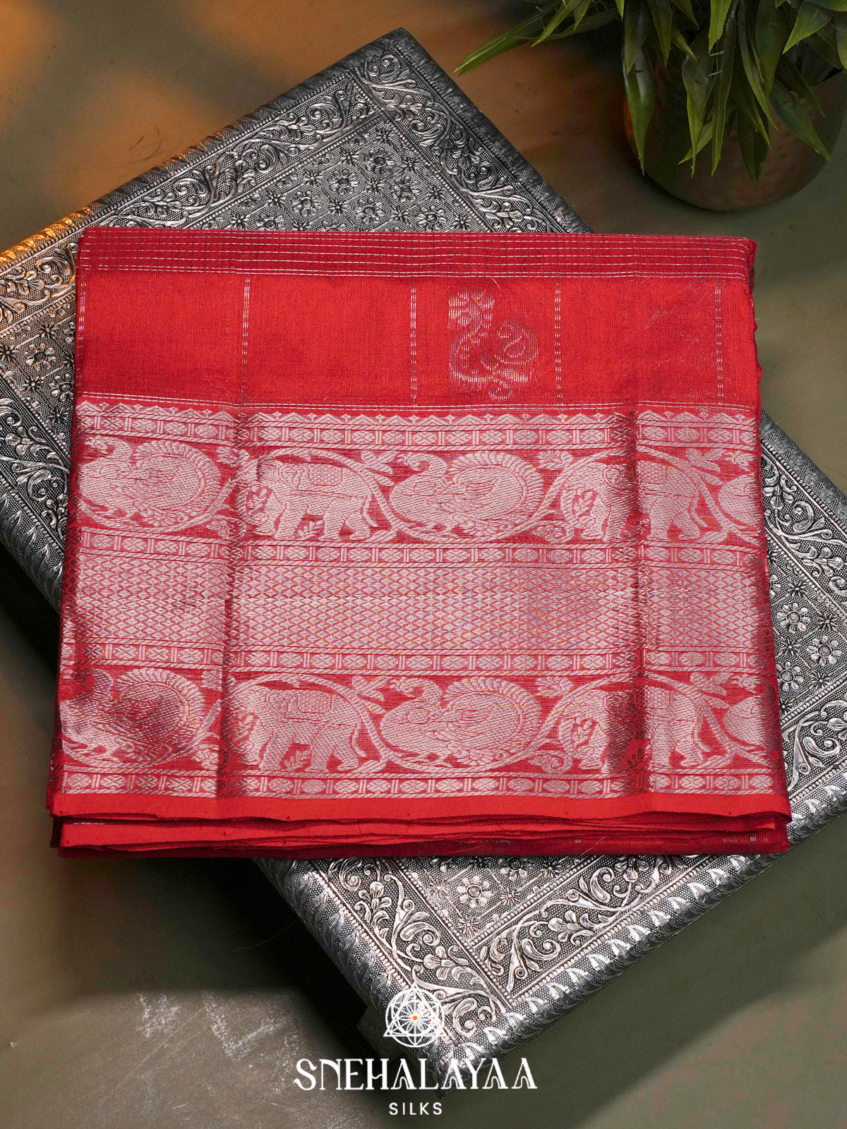 Chilli Red Kuppadam Silk Cotton Saree with Silver Zari Border