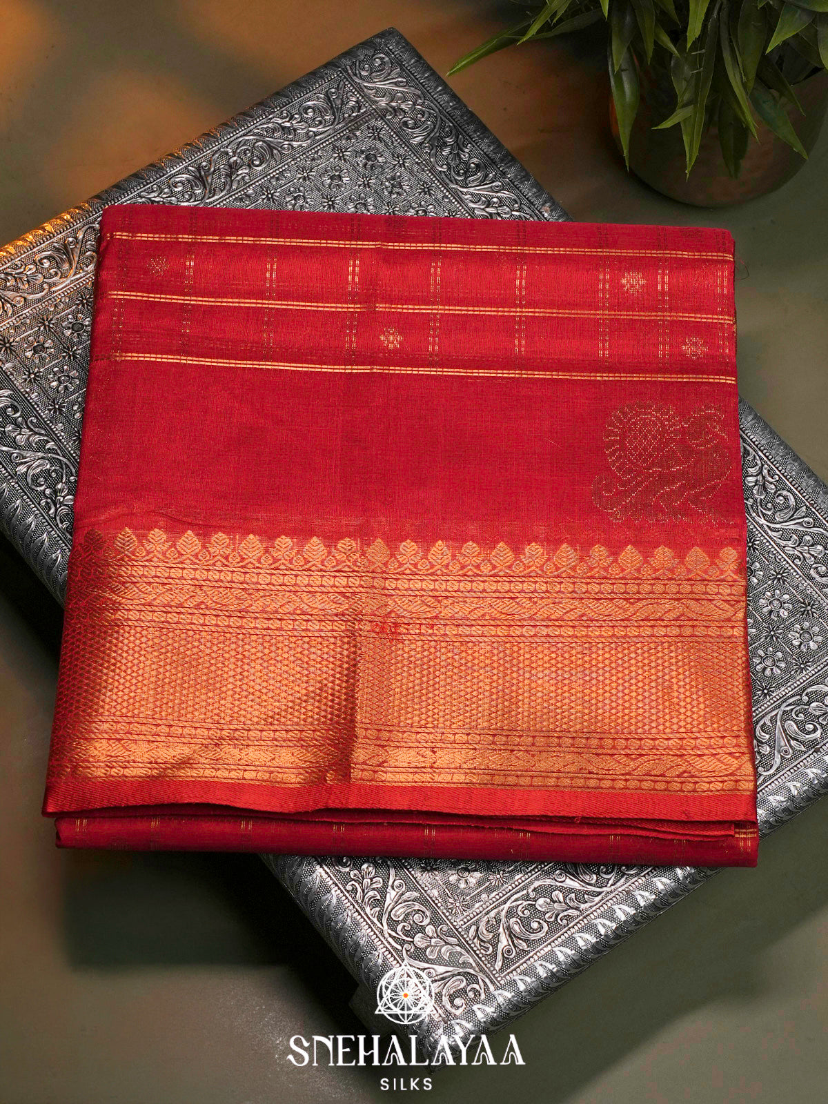 Chilli Red Kuppadam Silk Cotton Saree with Leaf Zari Border