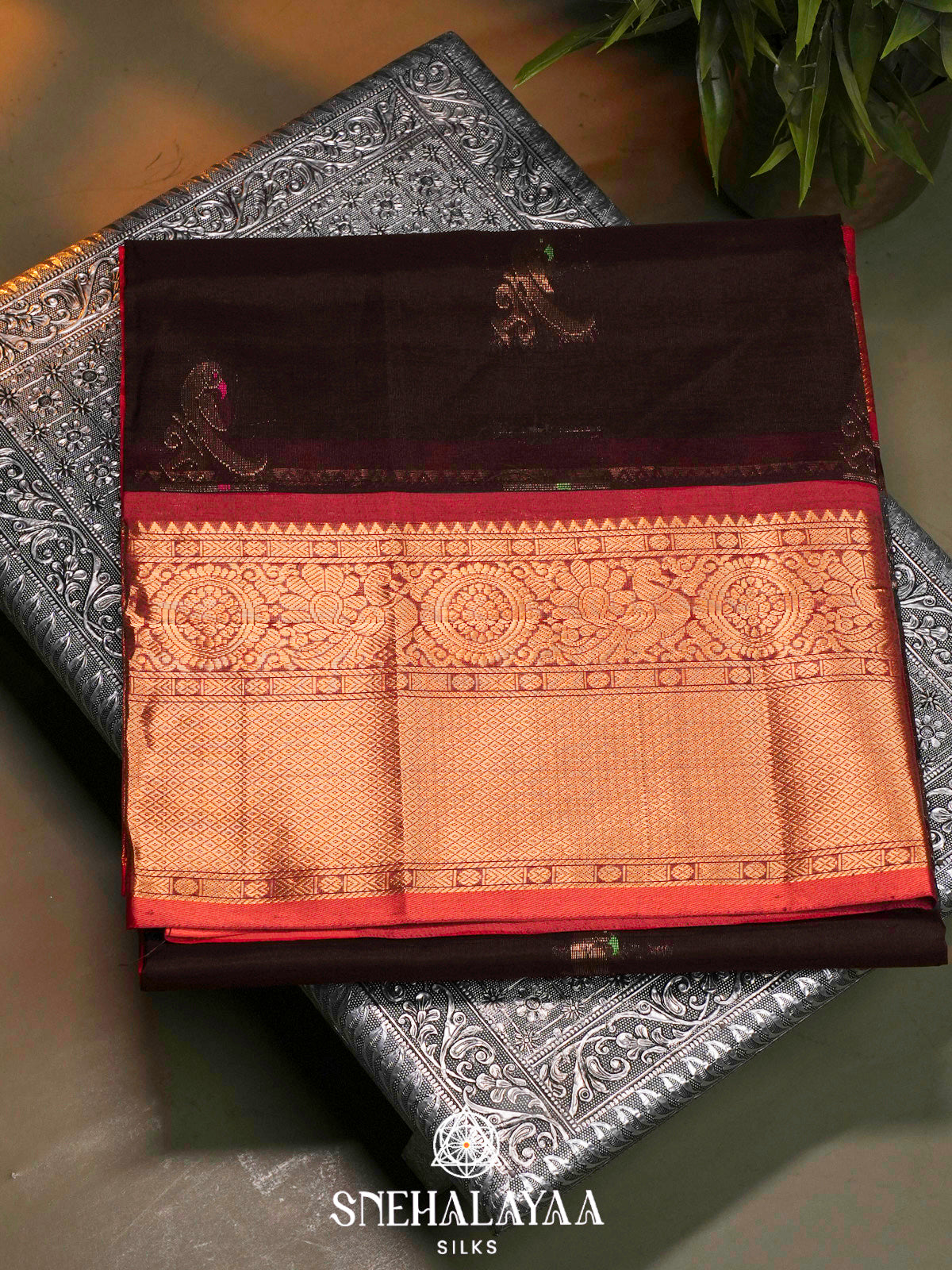 Chocolate Brown Kuppadam Silk Cotton Saree with Peacock Zari Border