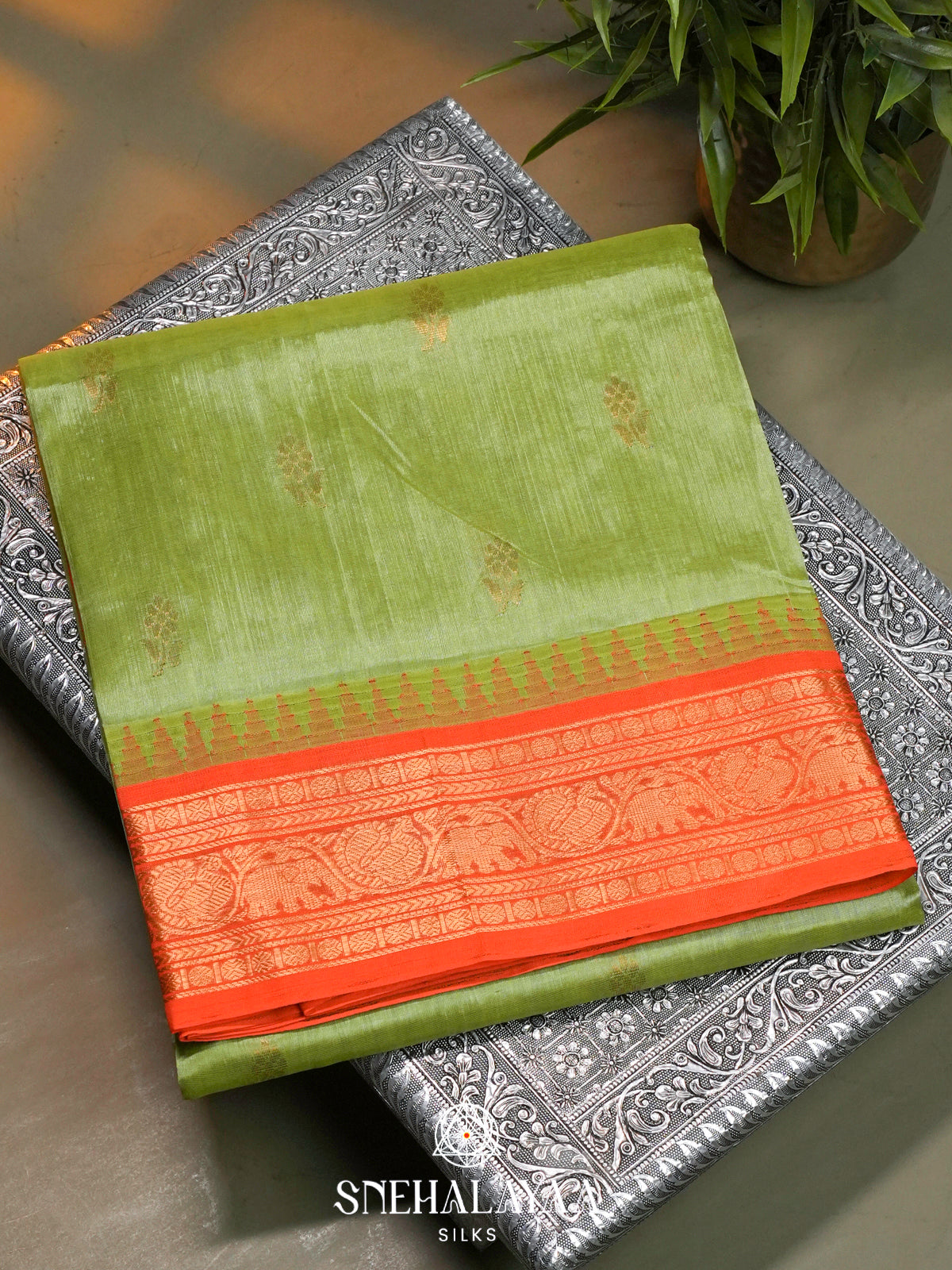 Pista-Green Kanchi Silk Cotton Saree with Gold Zari Buttas & Contrast Orange Border