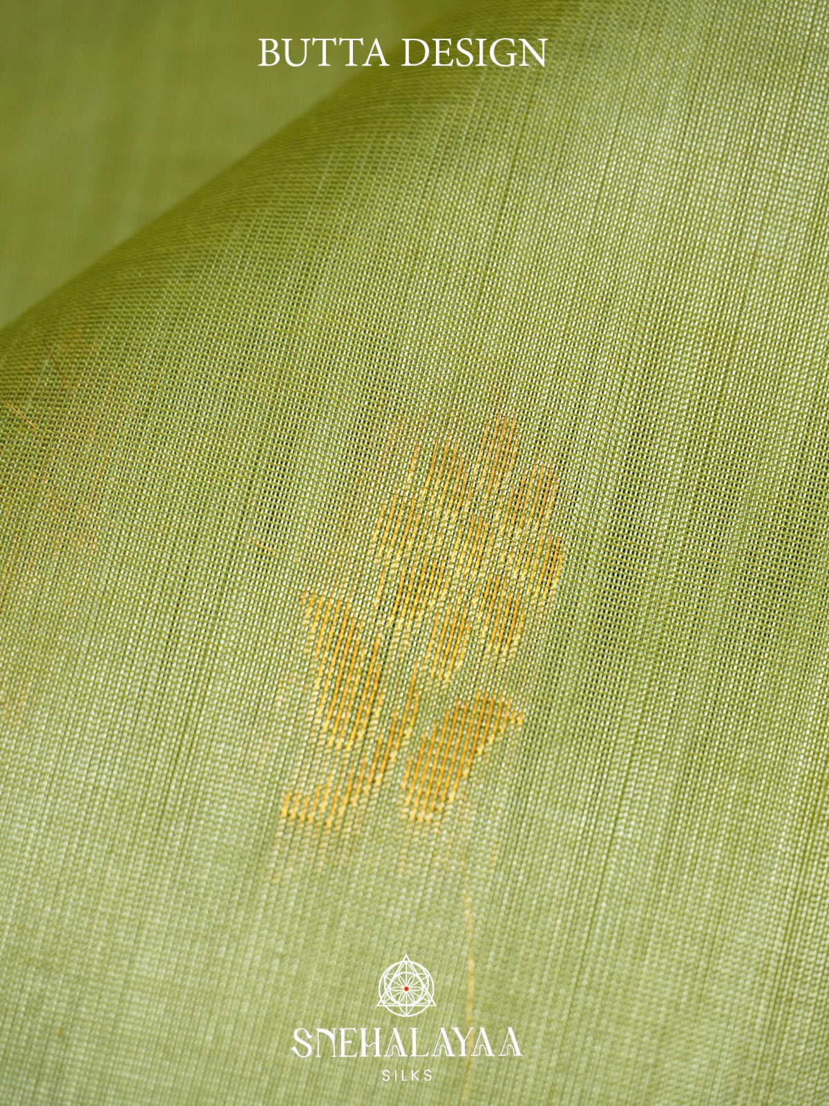 Pista-Green Kanchi Silk Cotton Saree with Gold Zari Buttas & Contrast Orange Border