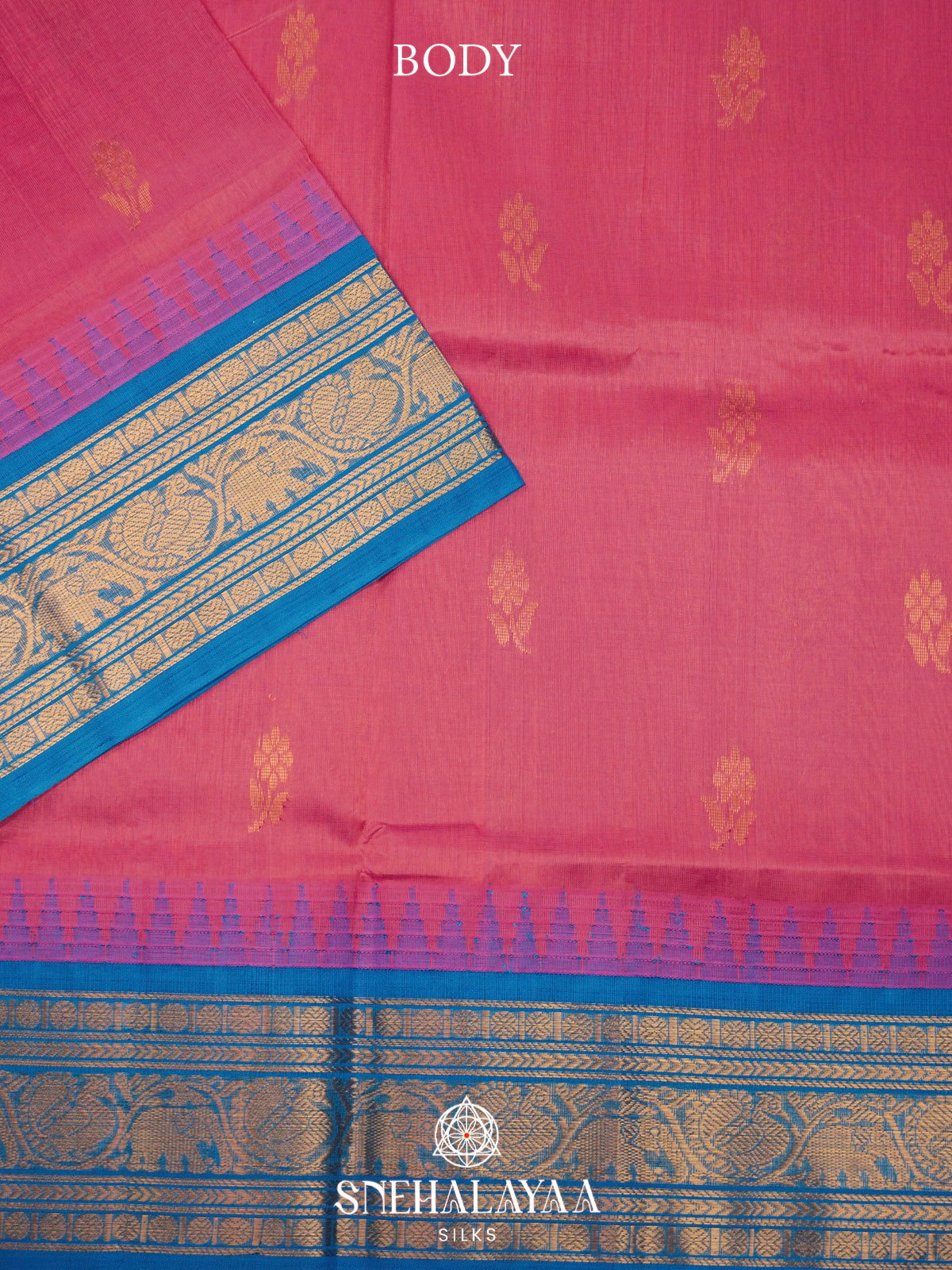 Pink Kanchi Silk Cotton Saree with Gold Zari Buttas & Contrast Blue Border