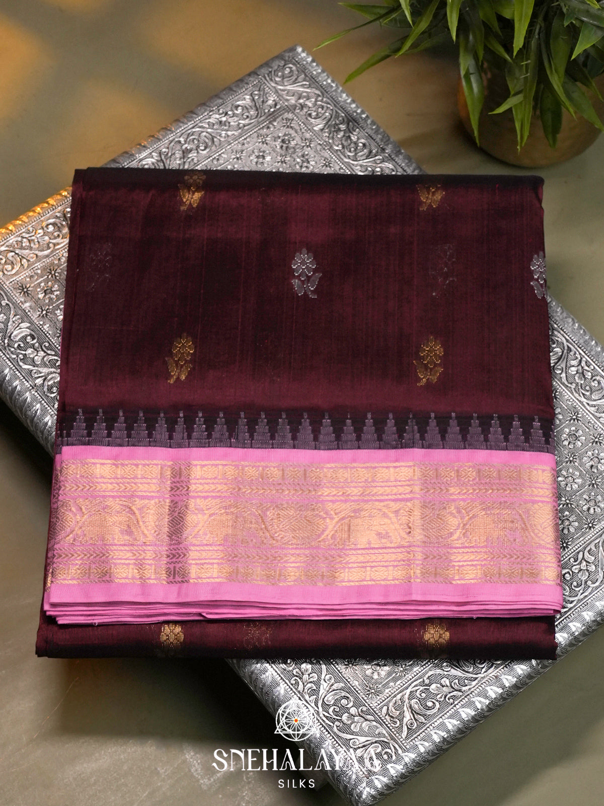 Burgundy Kanchi Silk Cotton Saree with Gold Zari Buttas & Contrast Pink Border