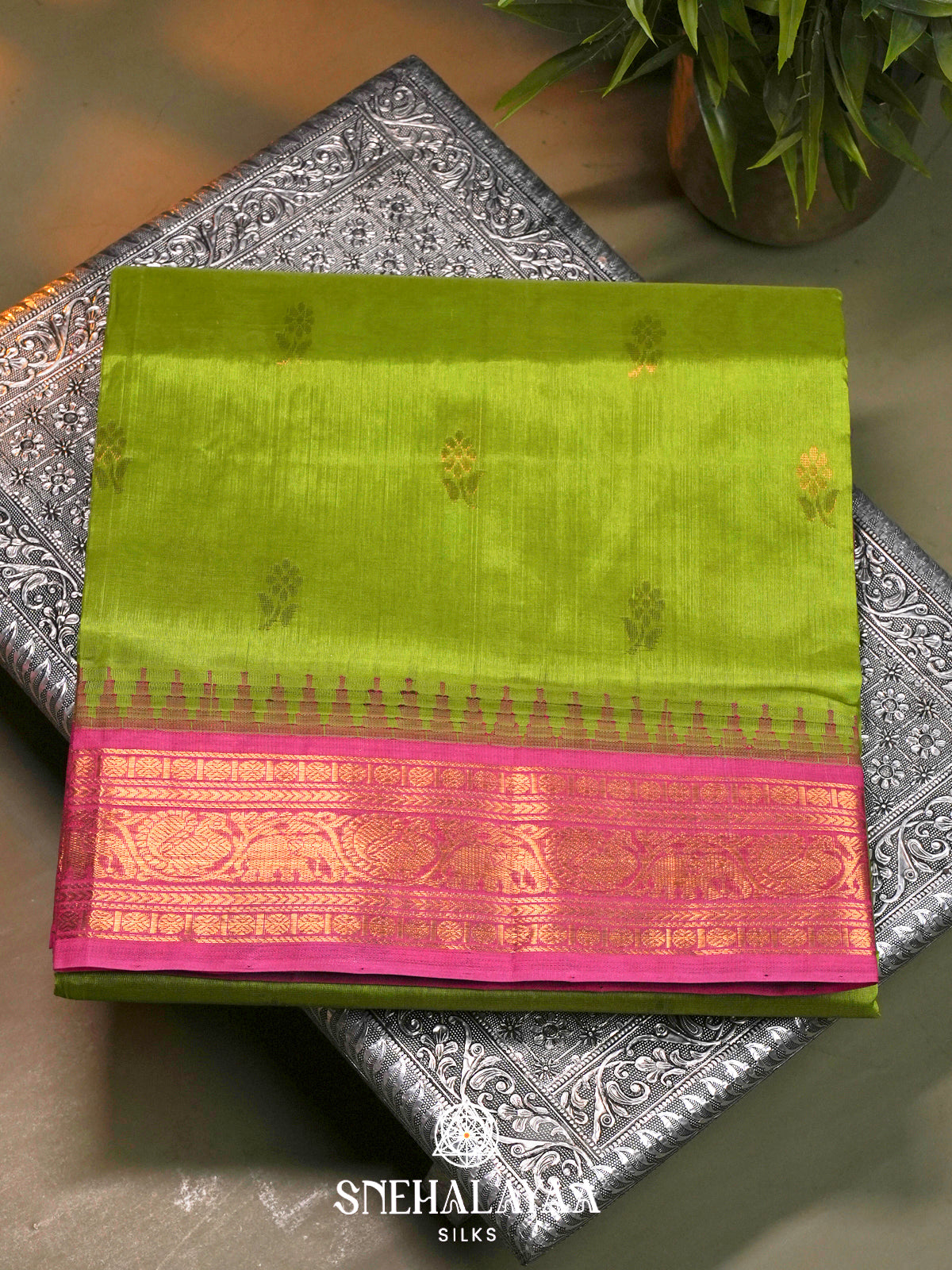 Lime-Green Kanchi Silk Cotton Saree with Gold Zari Buttas & Contrast Pink Border