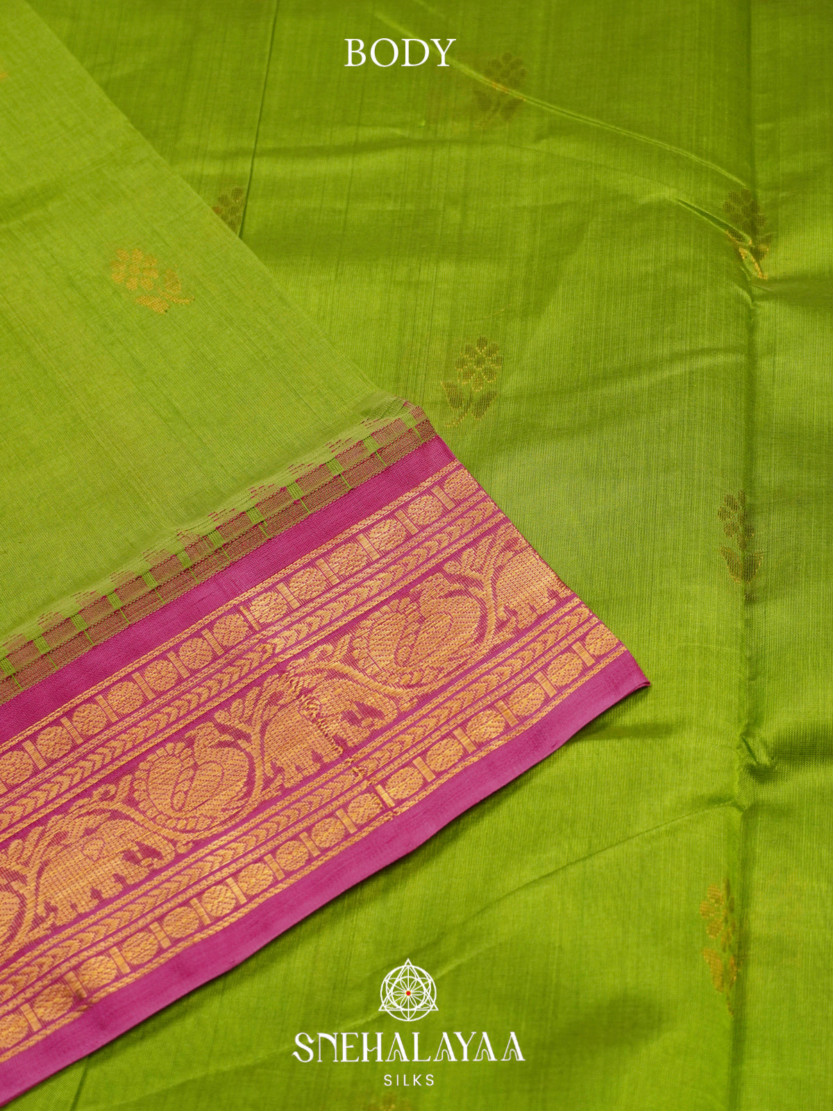 Lime-Green Kanchi Silk Cotton Saree with Gold Zari Buttas & Contrast Pink Border