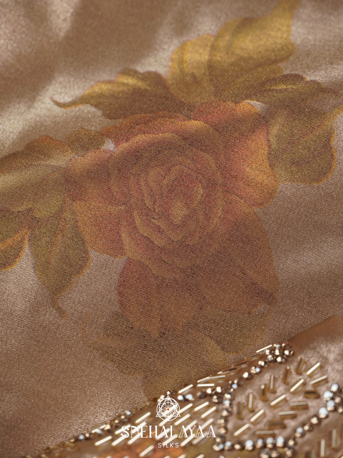 Beige Designer Saree