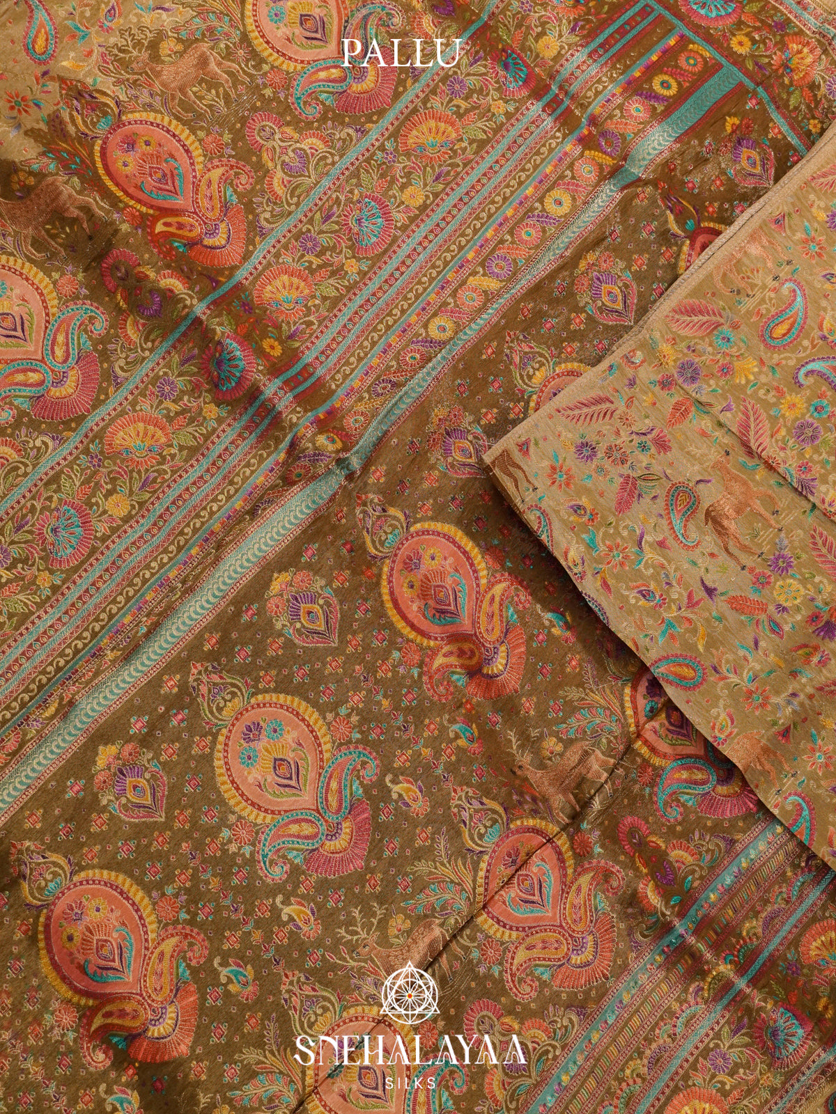 Beige Banaras Saree