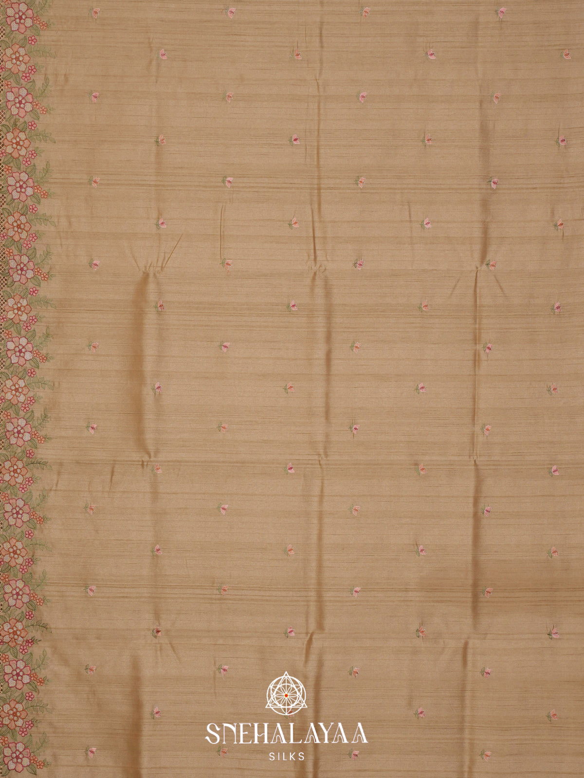 Beige Raw Silk Embroidery Saree