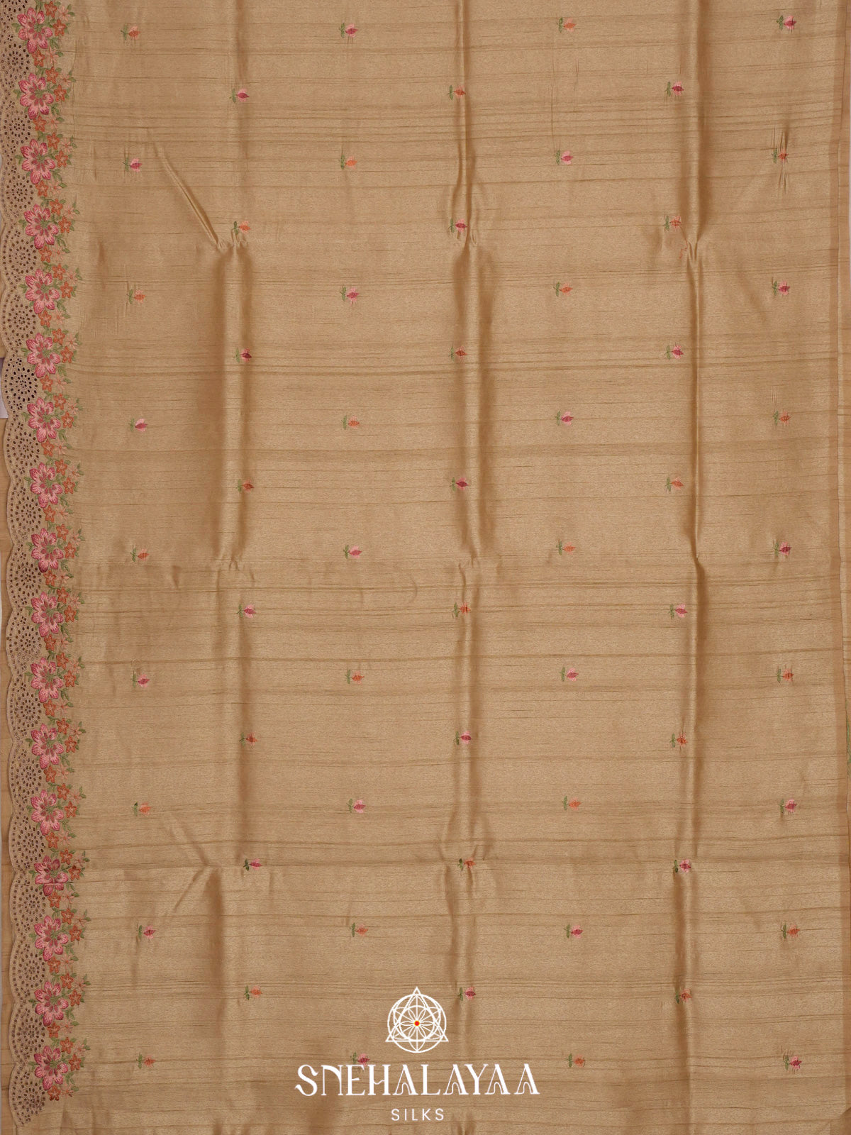 Beige Raw Silk Embroidery Saree