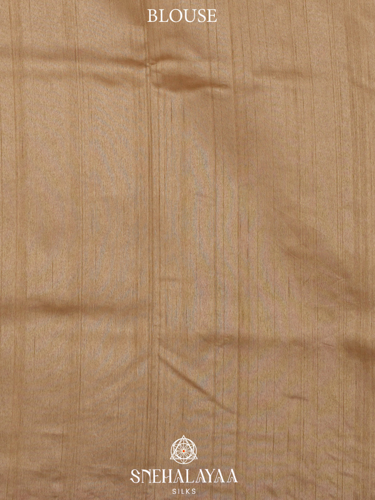 Beige Raw Silk Embroidery Saree