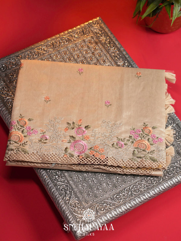 Beige Raw Silk Embroidery Saree