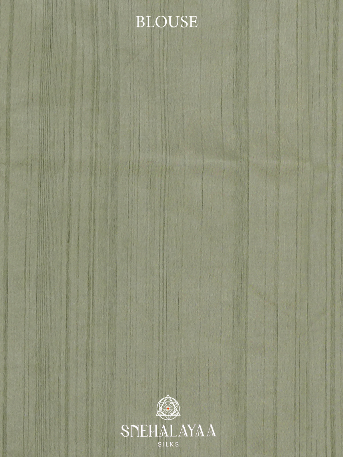 Pale Green Raw Silk Saree