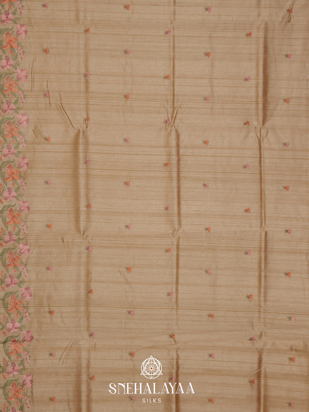 Beige Raw Silk Embroidery Saree