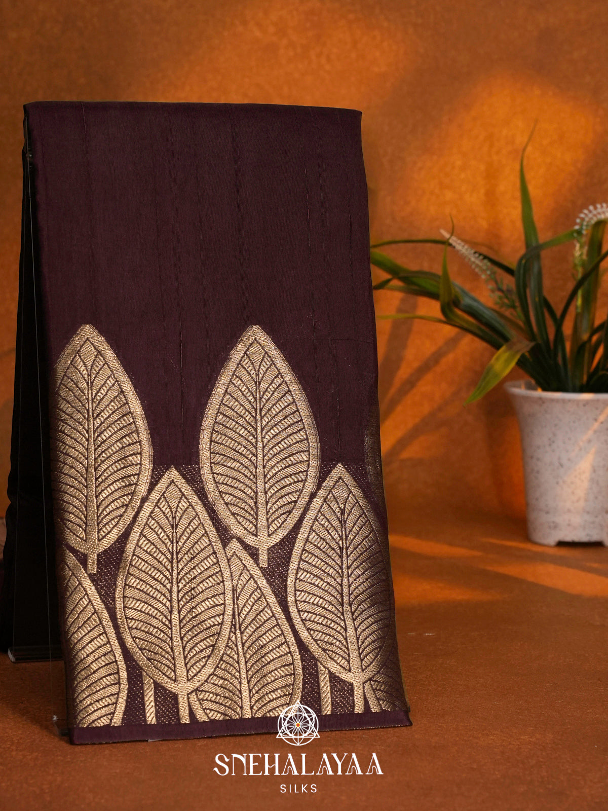 Coffee Brown Dola Saree