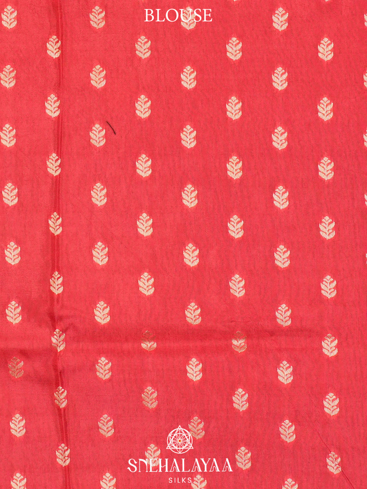 Forest Green  Banaras Saree