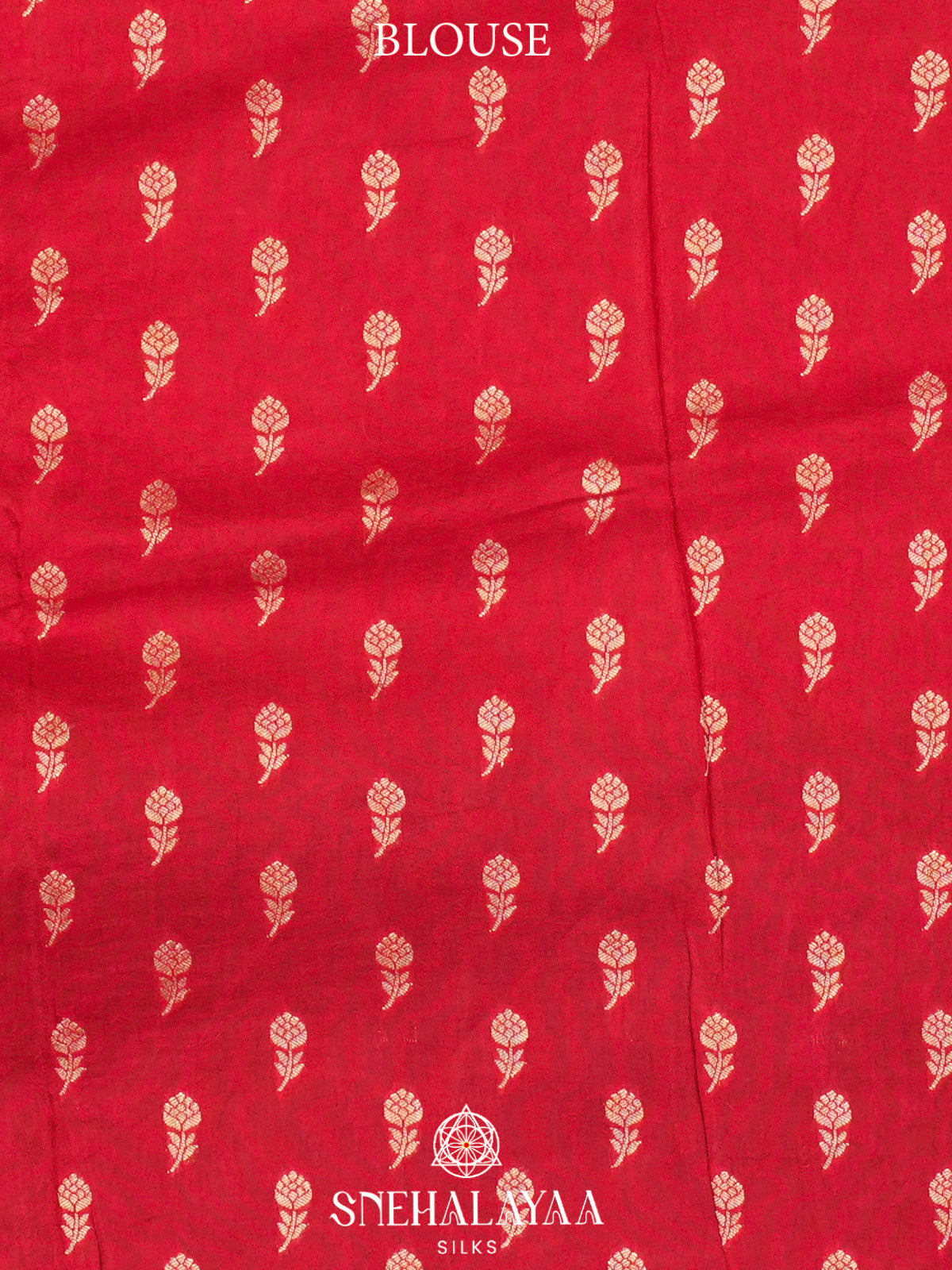 Forest Green  Banaras Saree