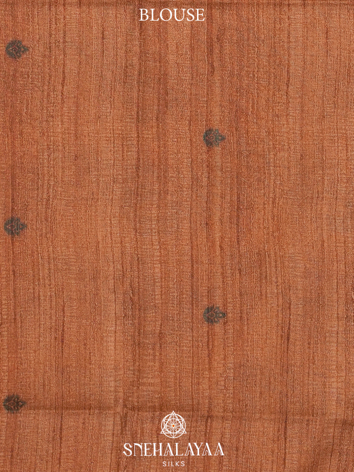 Burnt Orange Tussar Saree
