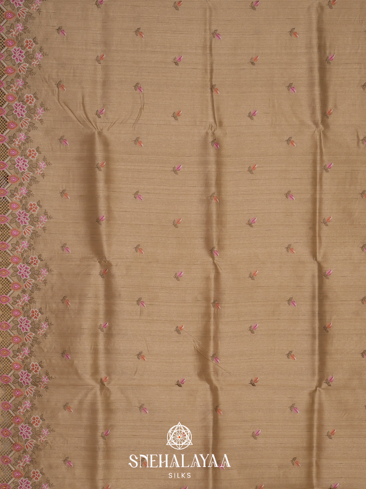 Beige Gold Raw Silk Saree
