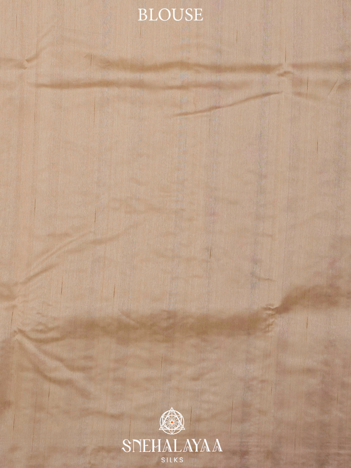 Sand Beige Raw Silk Embroidery Saree