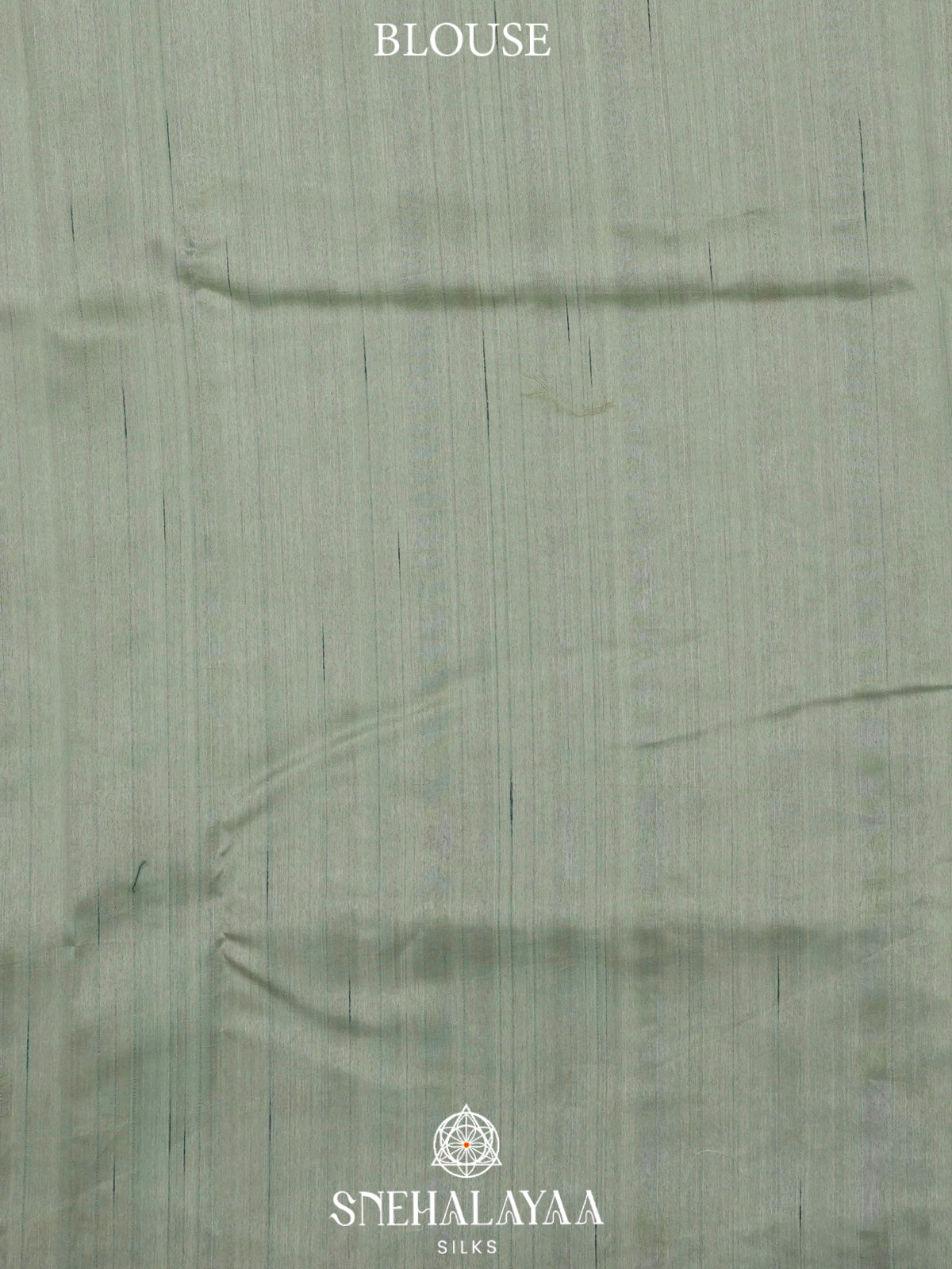 Sea Green Raw Silk Embroidery Saree