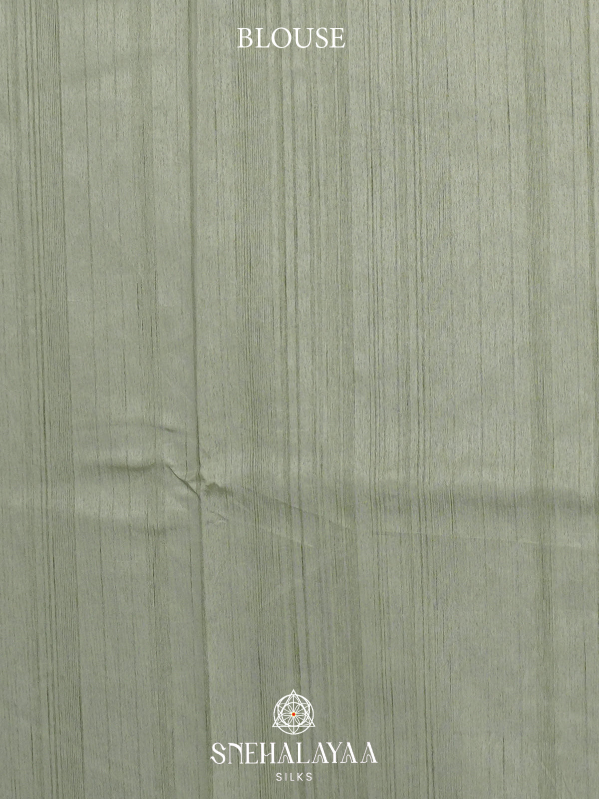 Pale Green Raw Silk Saree