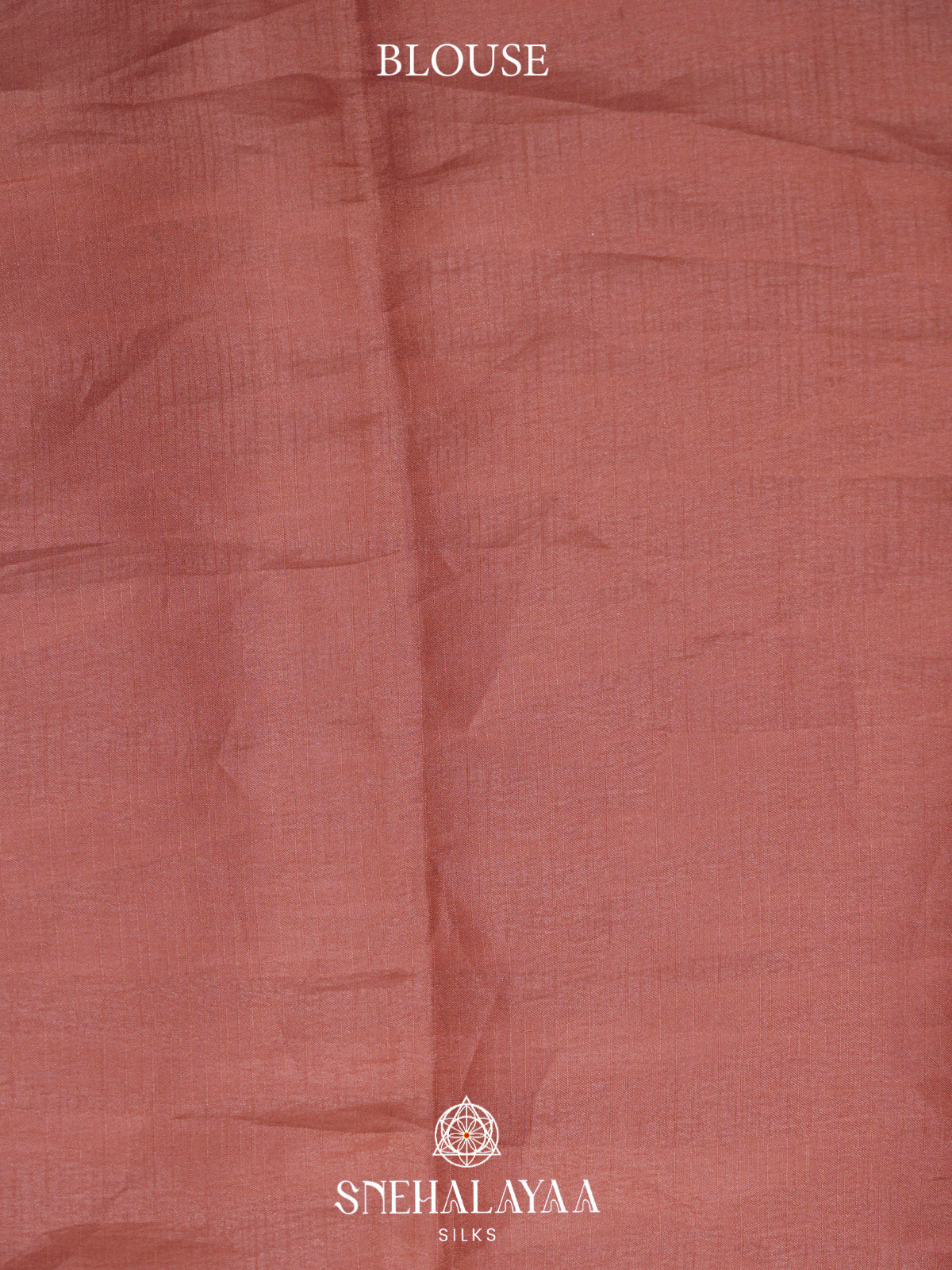 Beige Raw Silk Saree