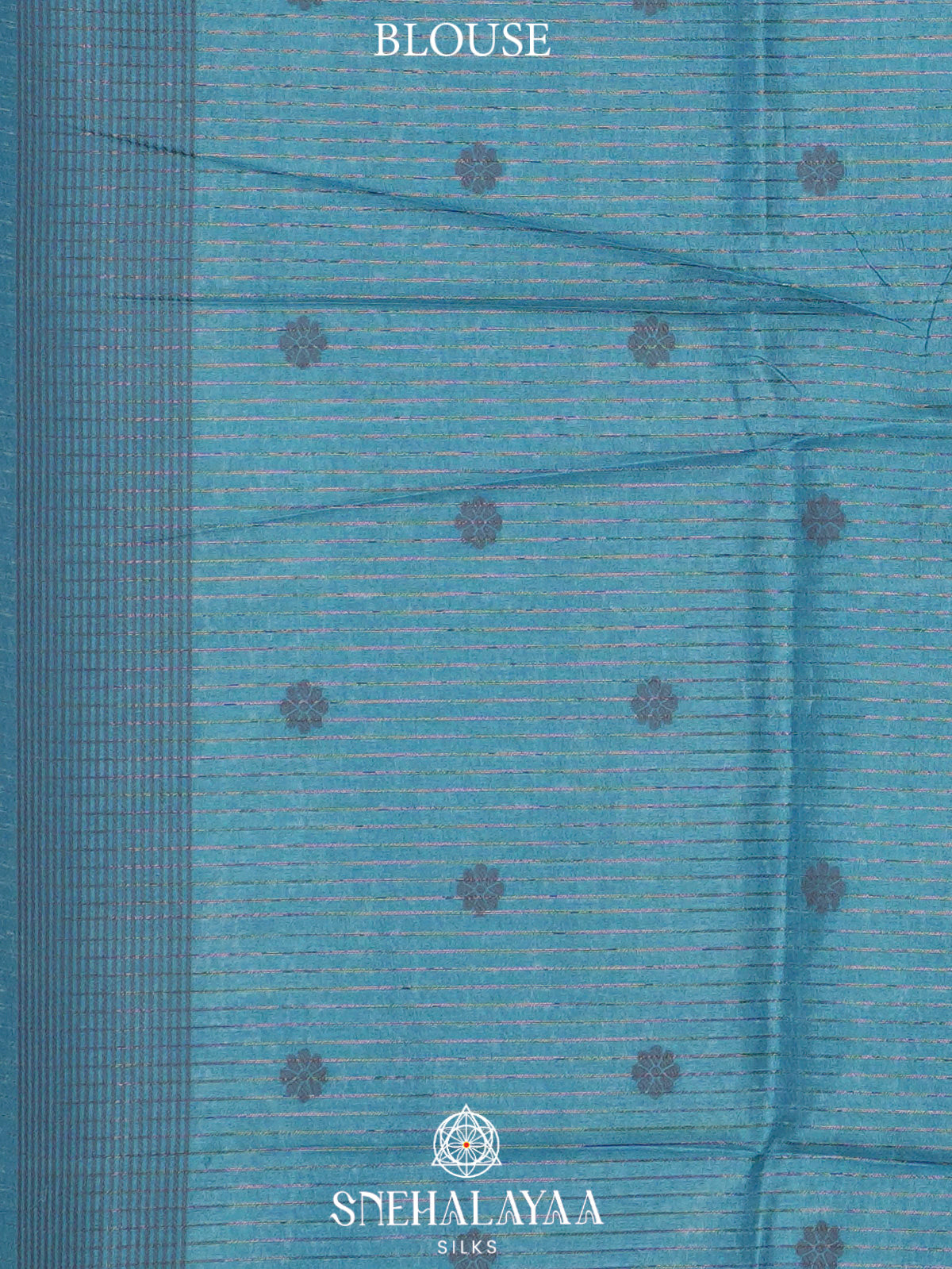 Beige With Blue Border Tussar Saree