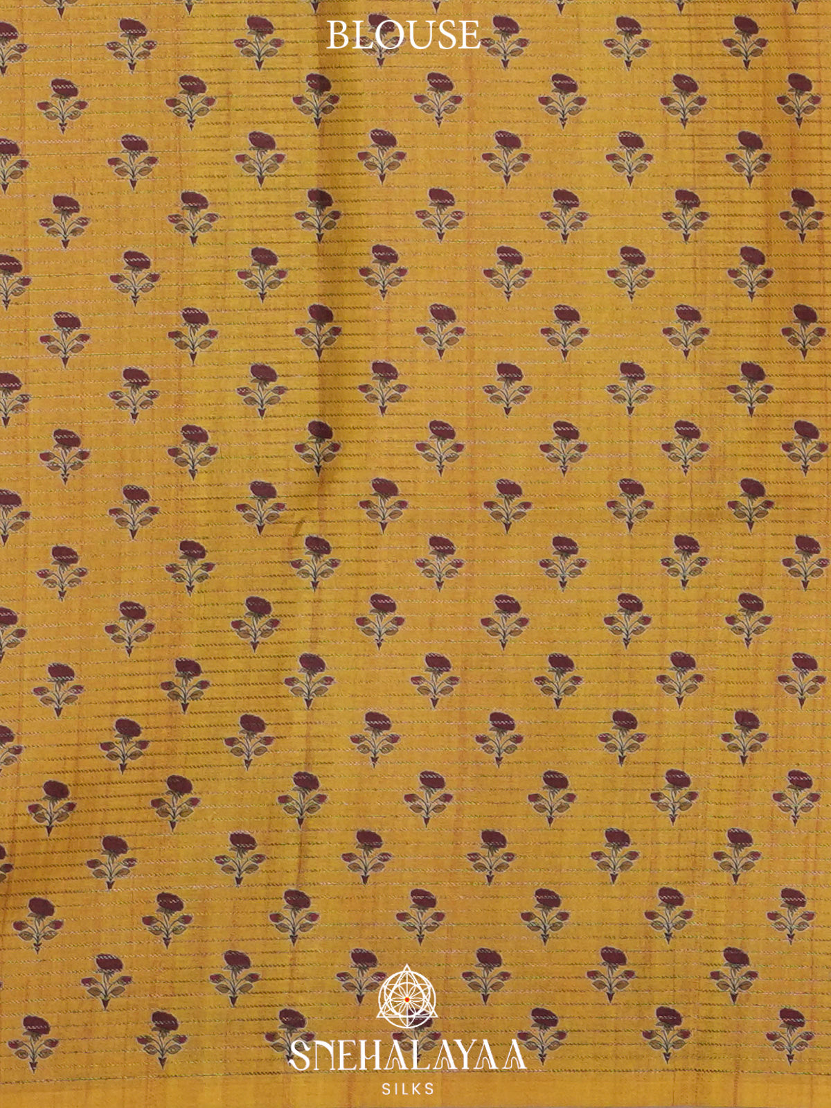 Beige Tussar Saree