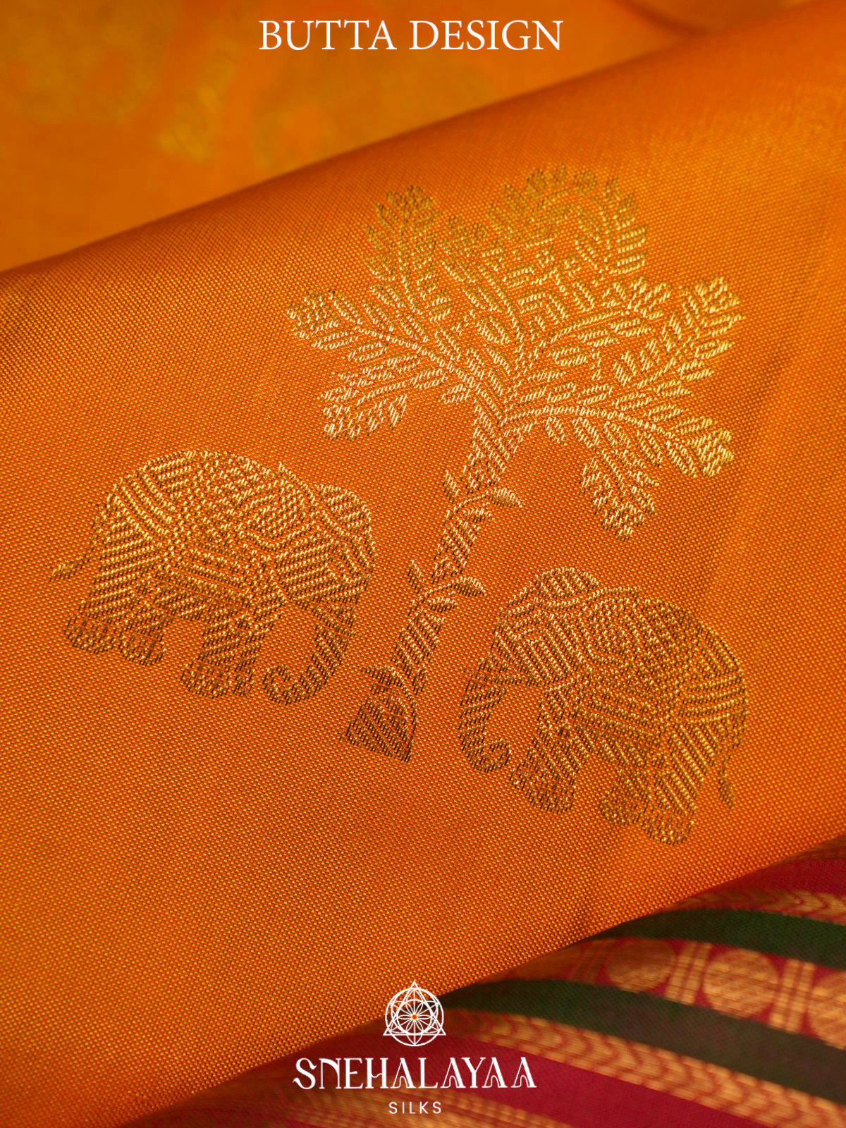 Mango Yellow kanjivaram Silk Saree