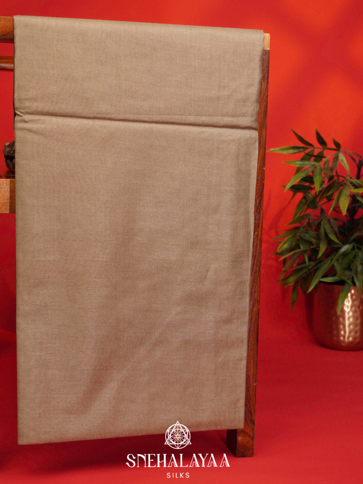 Beige Bamboo Silk Saree