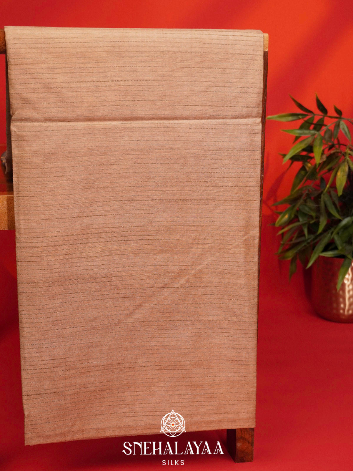 Beige Bamboo Silk Saree