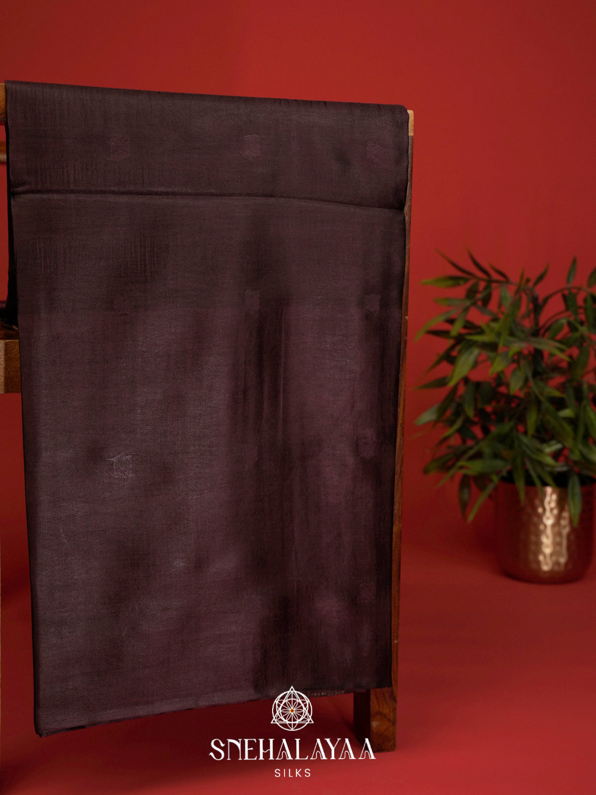 Coffee Brown Tussar Silk Saree