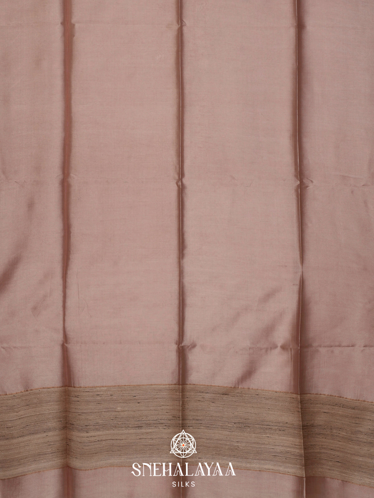 Beige Tussar Silk Saree