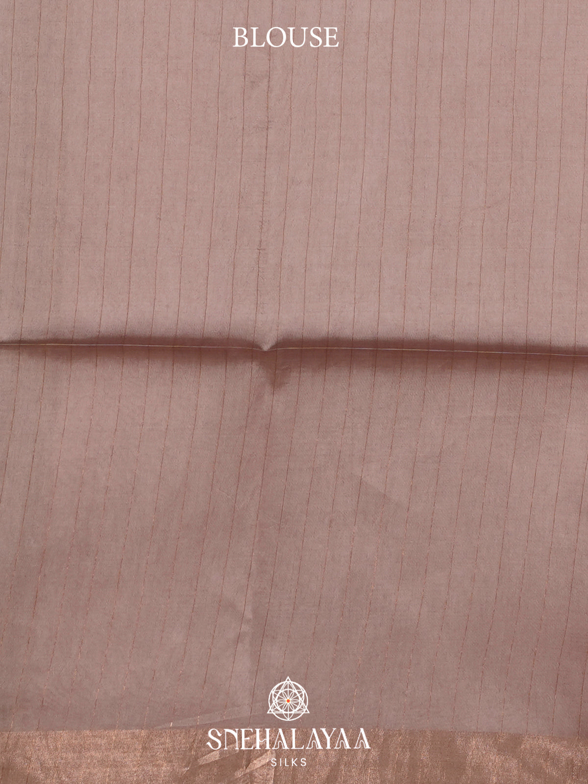 Beige Tussar Silk Saree